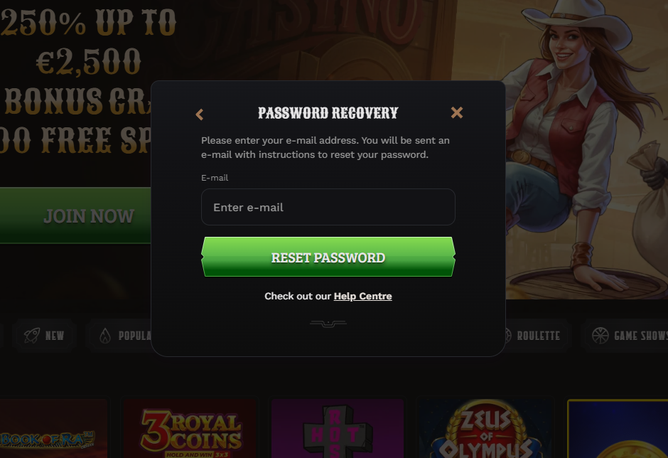 Wildsino Casino Login Probleme lösen